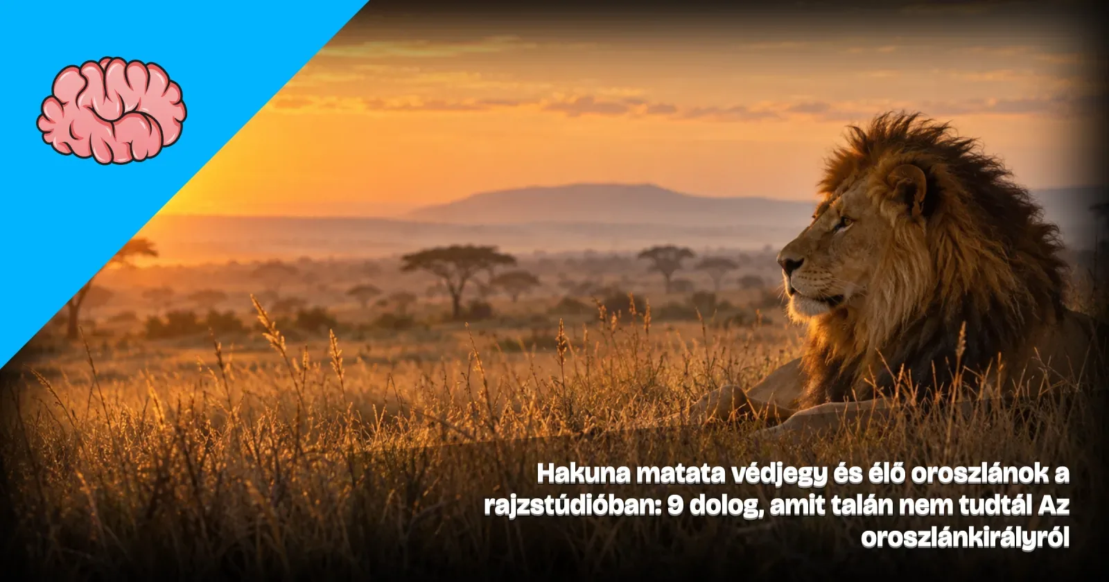 Generált illusztráció: oroszlán a napfelkeltés afrikai szavannán, a Gondoltad volna? arculatával és a cikk címével.
