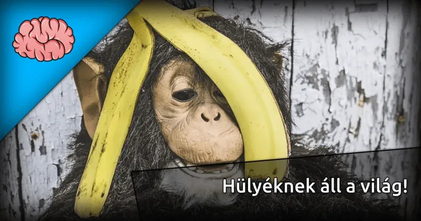 Hülyéknek áll a világ!