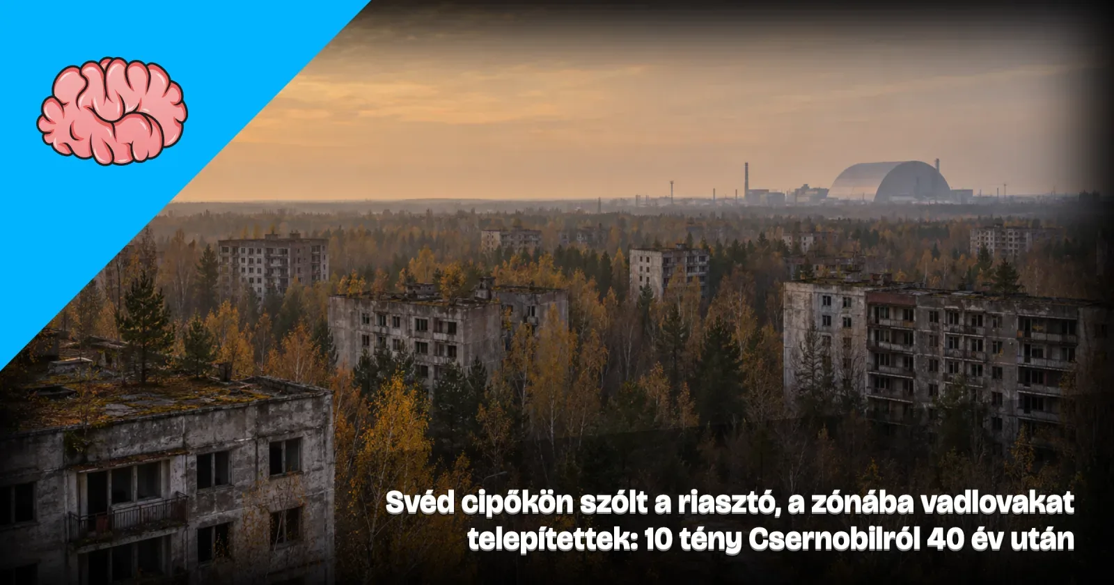 Generált illusztráció: elhagyott, nyírfákkal benőtt panelváros, a háttérben hatalmas acél védőív, a Gondoltad volna? arculatával és a cikk címével.