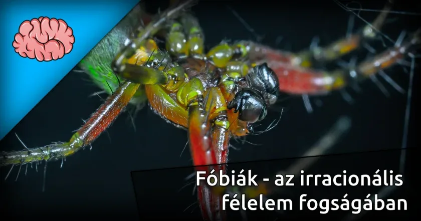 Fóbiák - az irracionális félelem fogságában
