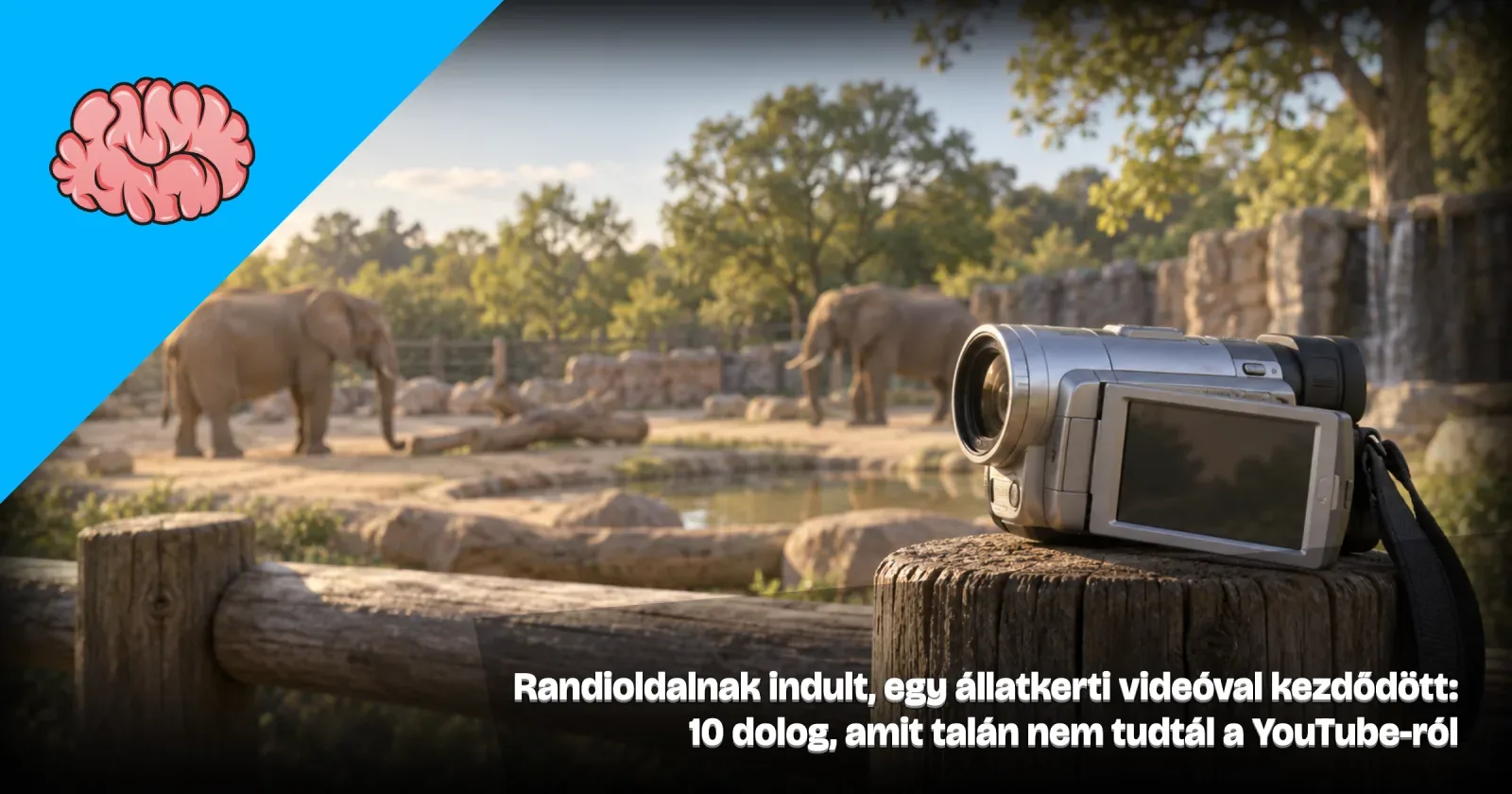 Generált illusztráció: régi kézi videokamera egy állatkerti kerítésen, mögötte elmosódott elefántok, a Gondoltad volna? arculatával és a cikk címével.