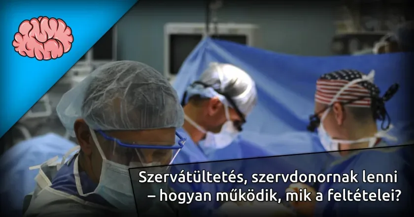 Szervátültetés, szervdonornak lenni – hogyan működik, mik a feltételei?